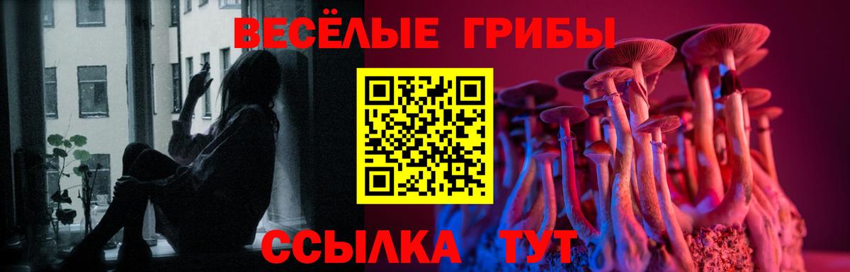 Бийск  Псилоцибиновые грибы MAGIC MUSHROOMS  Вход с VPN  Псилоцибиновые грибы Psilocybine cubensis 